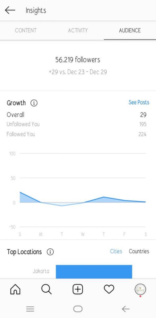 instagram insight untuk strategi bisnis online tab audience