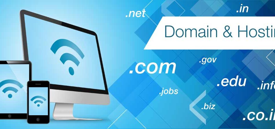 apa sih hosting dan domain itu